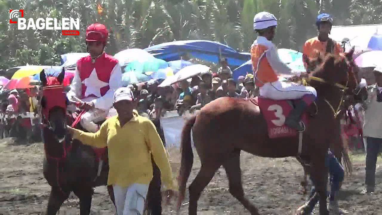 Pacuan Kuda Jatimalang Berebut Trofi Gubernur Jateng