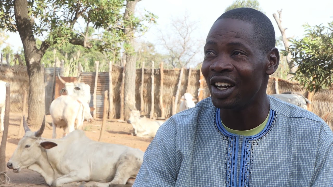 JnA 2021 Prix Agriculteur Modèle /Filière Bovine/PDA2/FUPRO-BENIN