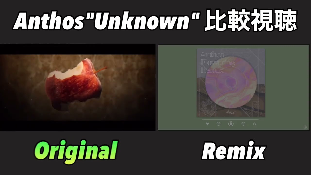 華Doll Remixサブスク解禁②