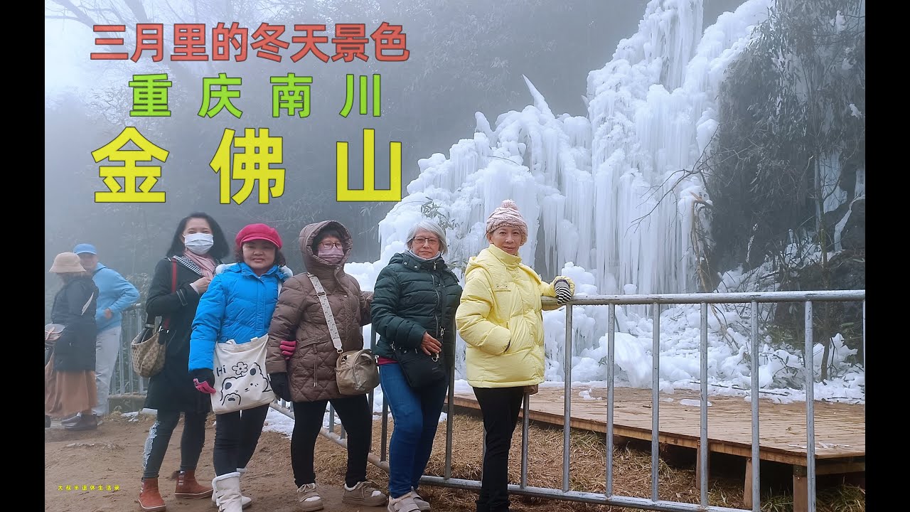 重庆游 金佛山景点 金佛山位于重庆南部南川市境内，属大娄山山脉，又名金山，古称九递山，由金佛、箐坝、柏枝三山108峰组成。主峰风吹岭海拔2251米 03/03/2024 Chongqing China