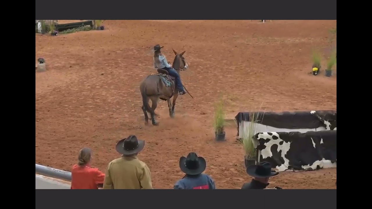 Brianna Black - Open Mule - Worlds  November 1, 2023