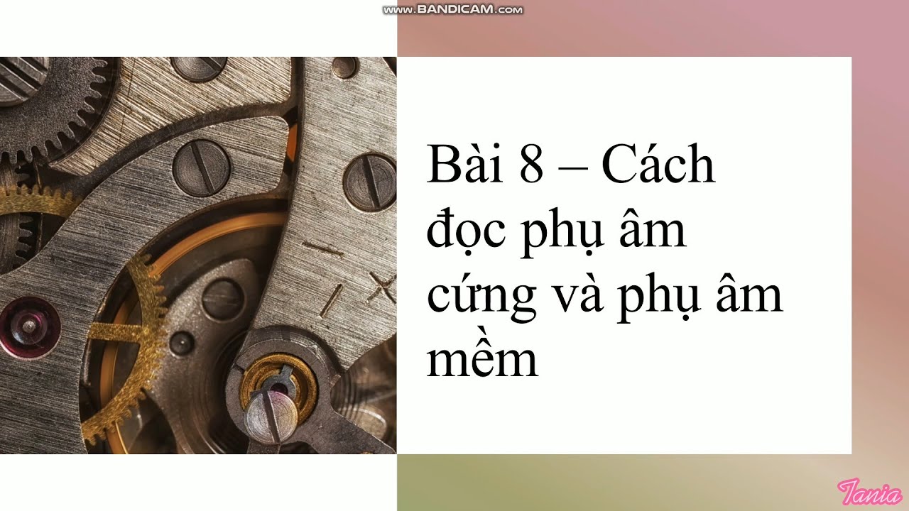 Bài 8 - Phụ âm cứng và phụ âm mềm trong tiếng Nga | HỌC TIẾNG NGA SIÊU DỄ CÙNG TANIA