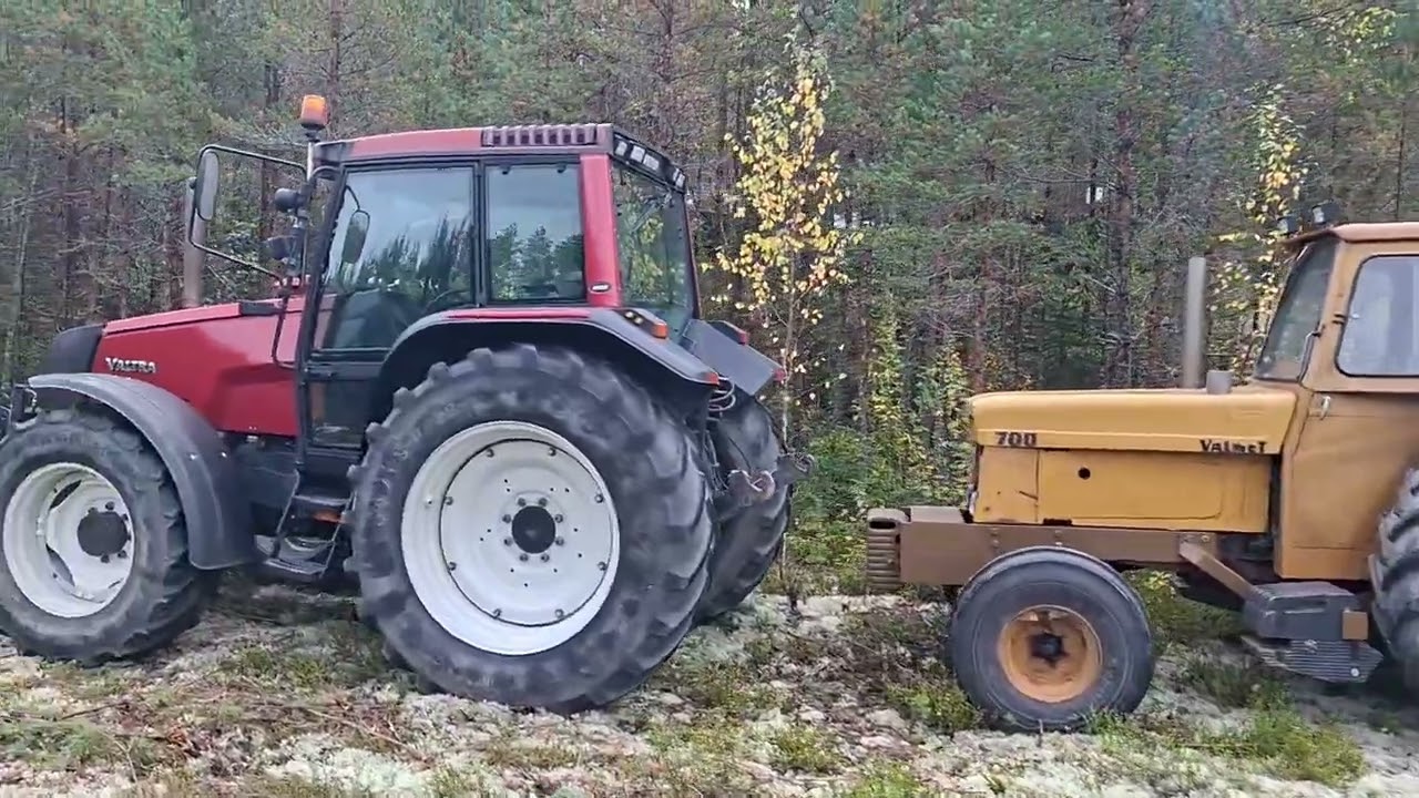Sammin mäkivetokisat 2025 alkutunnelmia 