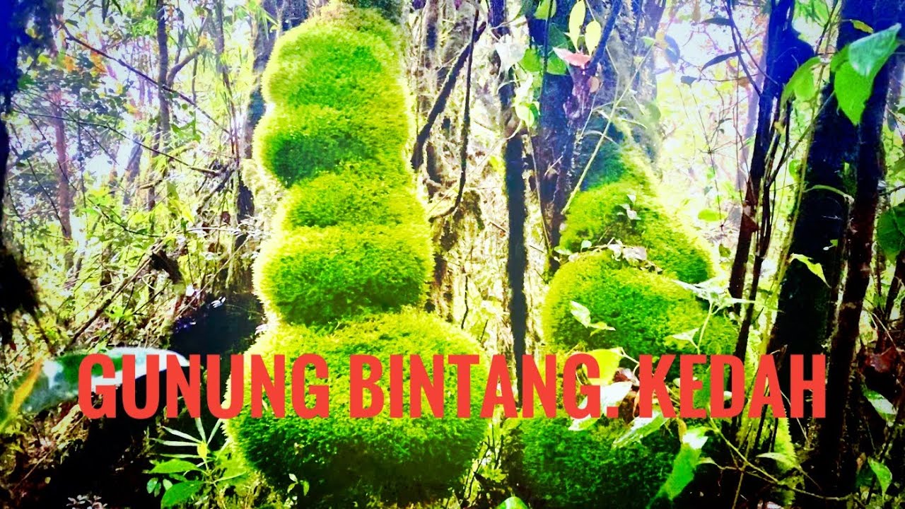 Gunung Bintang Kedah