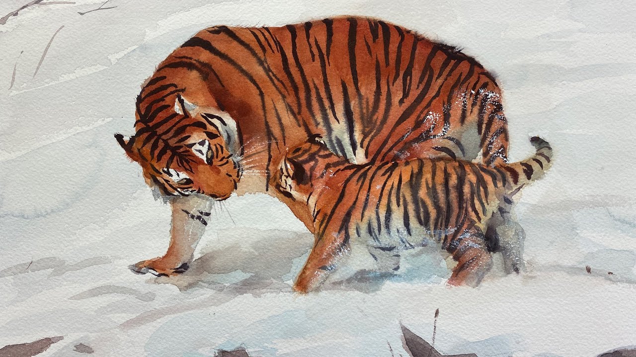 Watercolor painting of two tigers