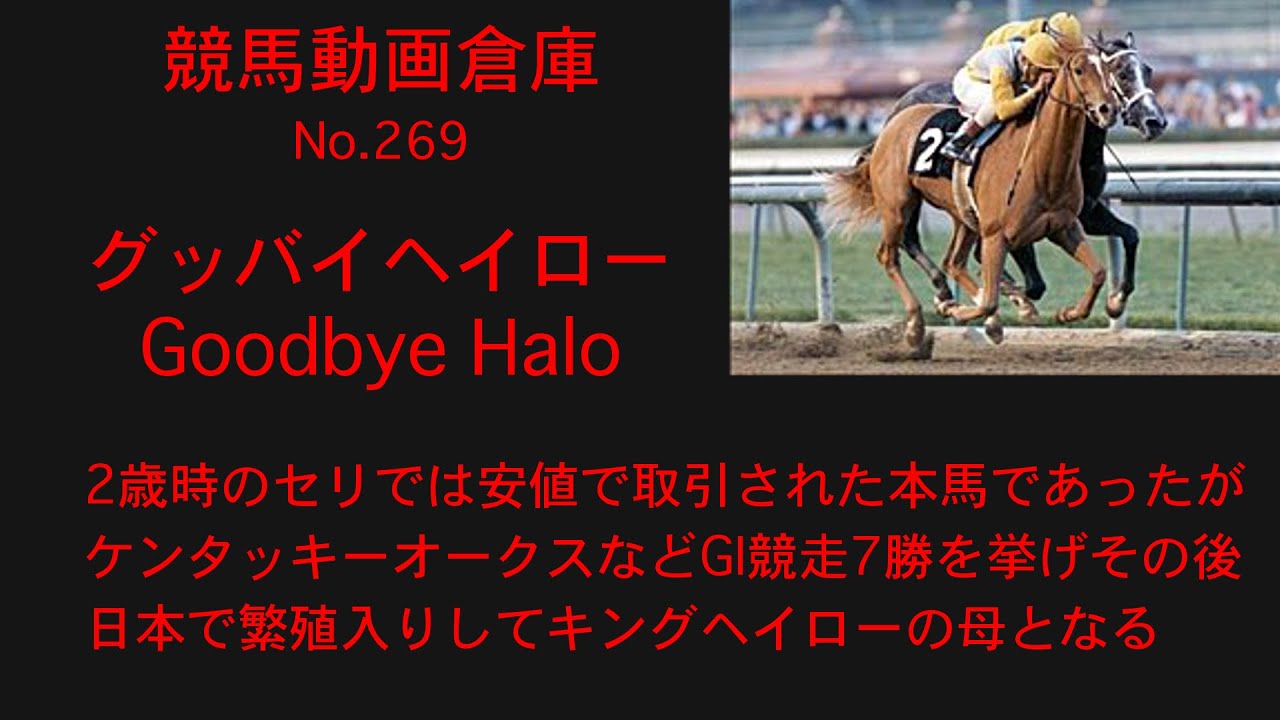 【競馬】グッバイヘイロー　Goodbye Halo【No269】