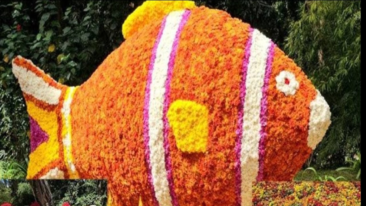 Cubbon Park Flower Show  2025 Bangaluru/#sandtfoodies