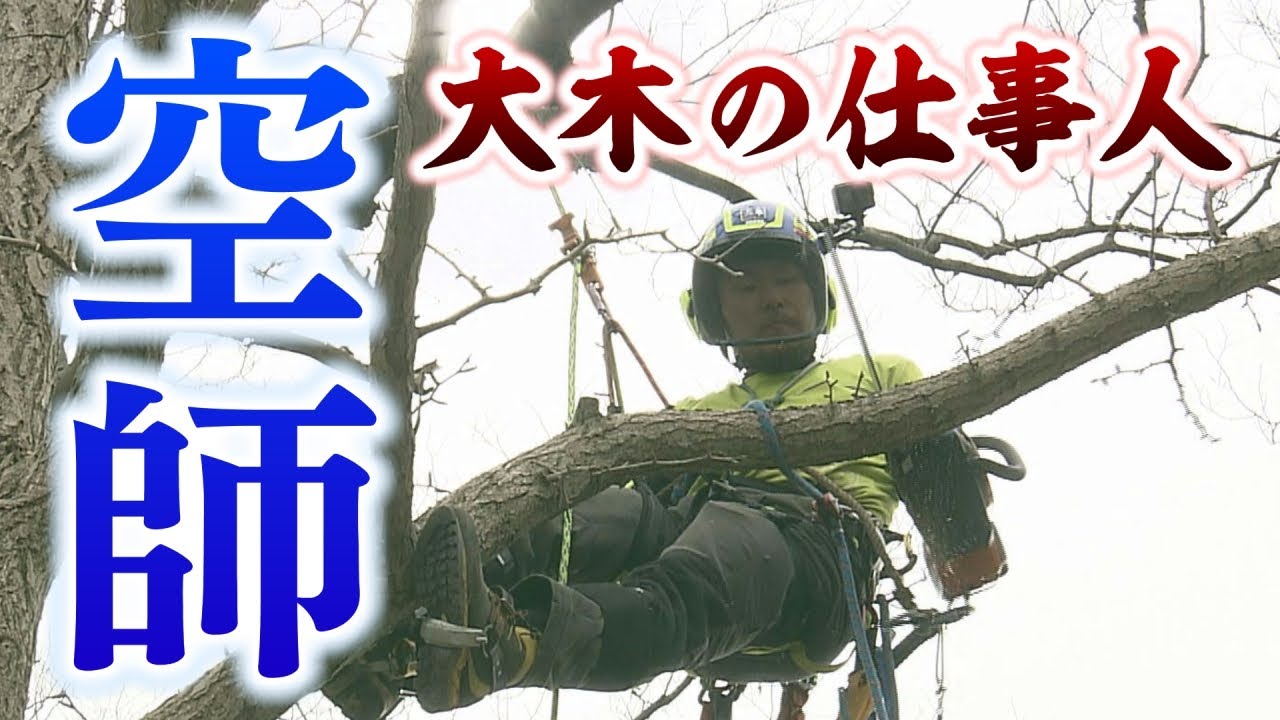 大木の仕事人・空師