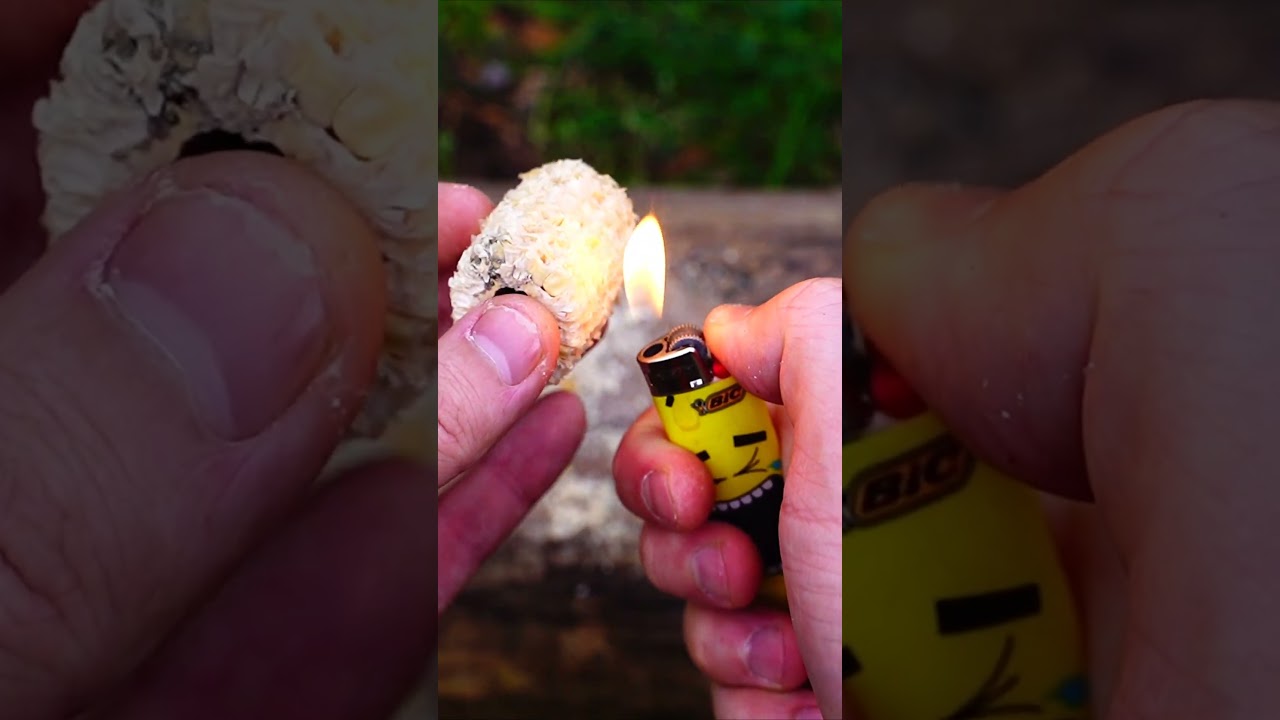 Amazing Swiss Army Knife Skill - Making a Corn Cob Smoking Pipe  #bushcraft #survival #camping #SAK