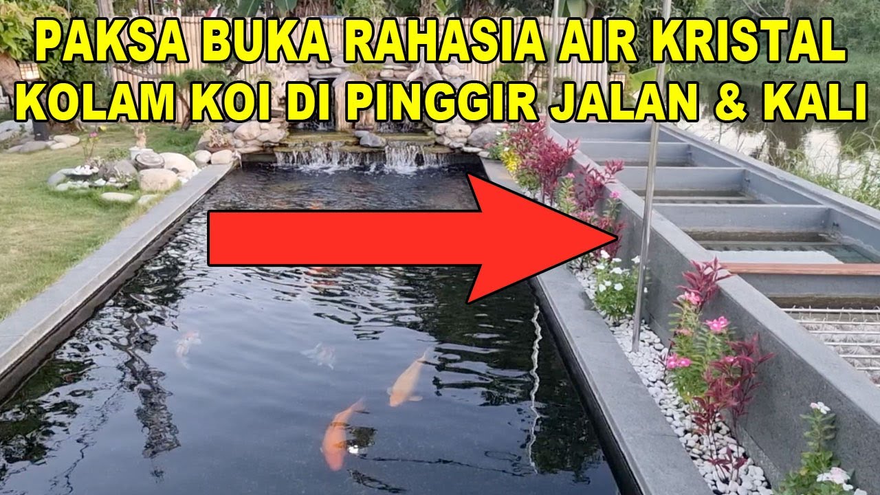 PAKSA BUKA RAHASIA FILTER AIR KRISTAL KOLAM KOI PINGGIR JALAN & KALI