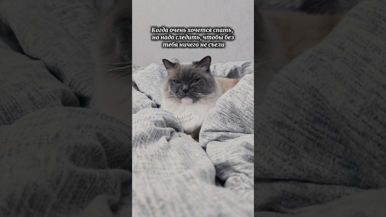 Надо следить😆