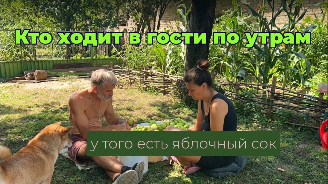 Ходим в гости  #жизньзаграницей #переездвсербию #ремонт #покупканедвижимости #сербия