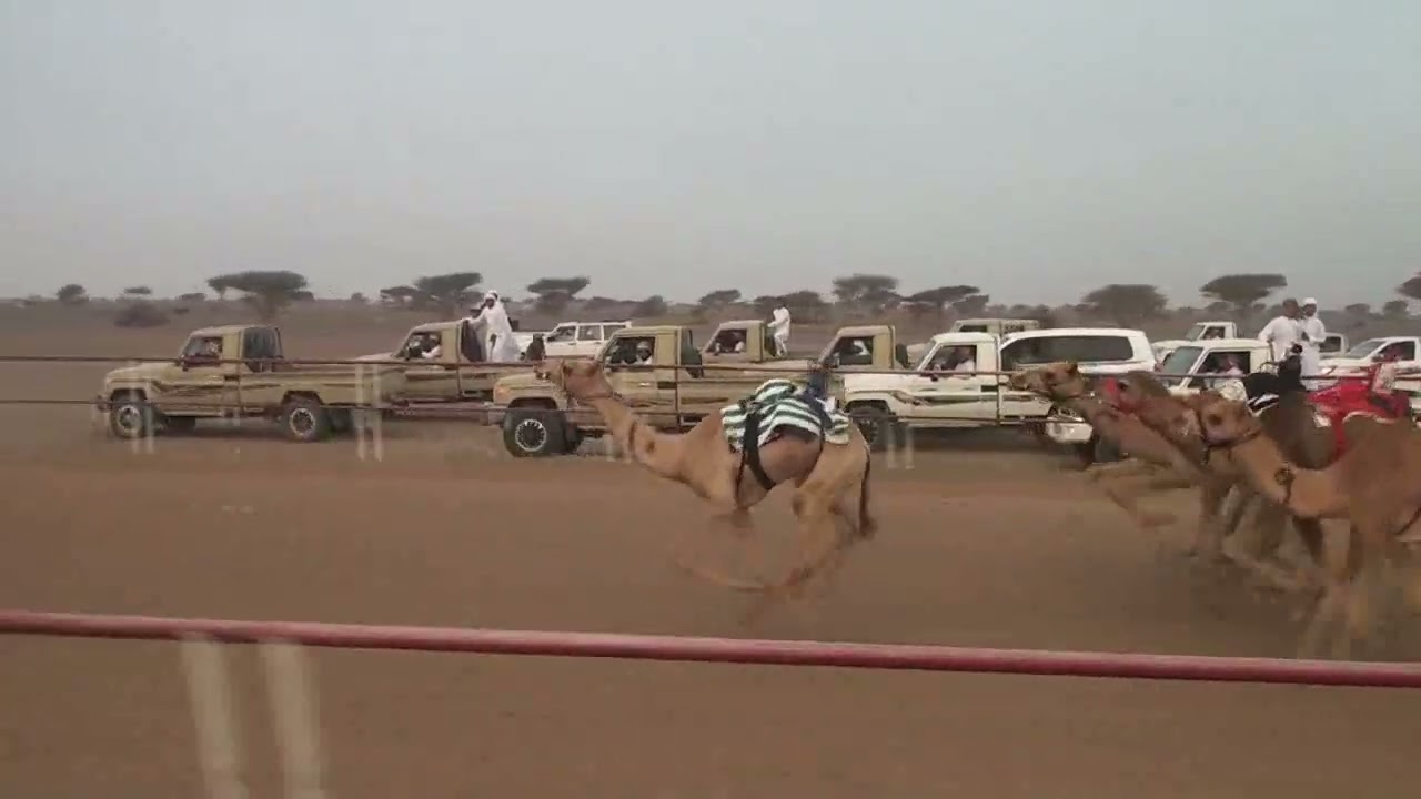 مركاض بديه الشوط السادس