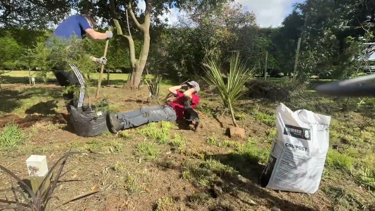 Planting 11 Tōtara Trees 🌿 Creating a Native NZ Grove on Our Southland Farm