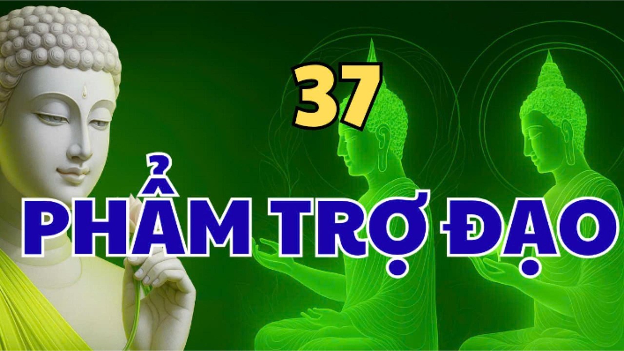 PHẬT DẠY 6 ĐIỀU PHẢI BIẾT VỀ 37 PHẨM TRỢ ĐẠO – TU SAI HƯỚNG, KHỔ THEO CẢ ĐỜI |#loiphatday