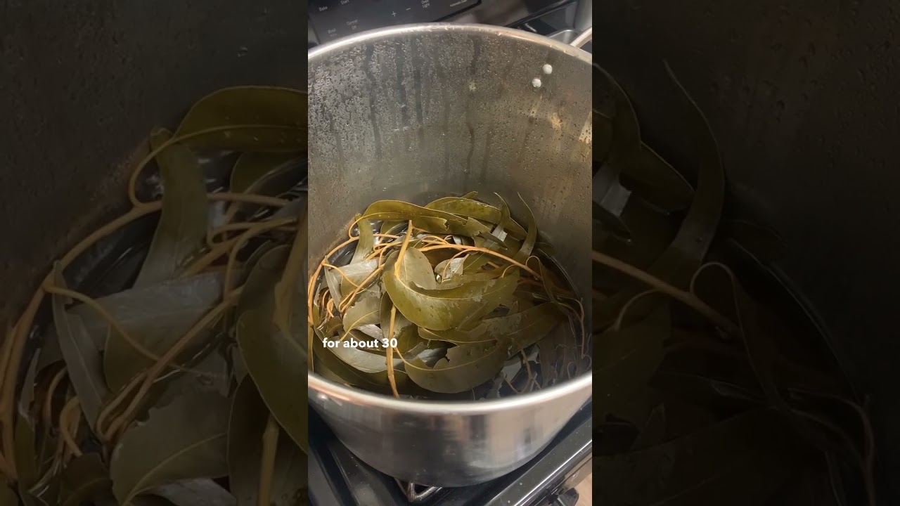 Foraged Eucalyptus Creates Beautiful Muted Yellow Natural Dye