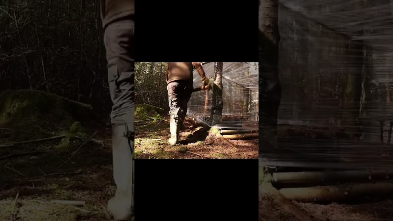 Building a Woodland Cabin with Plastic Wrap#shorts