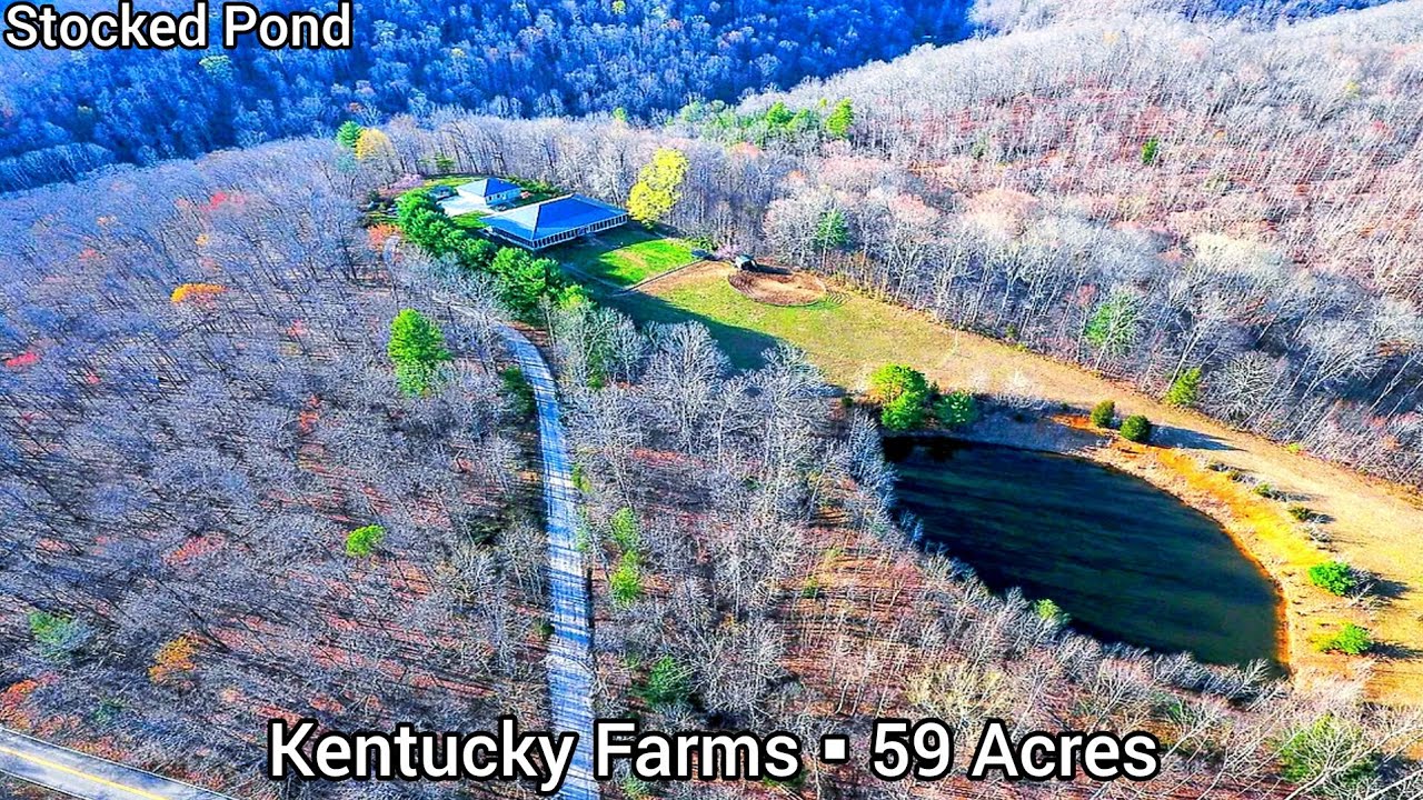 Kentucky Farms For Sale | 59+Acres | Kentucky Land For Sale | Pond | Hunting Land | Views