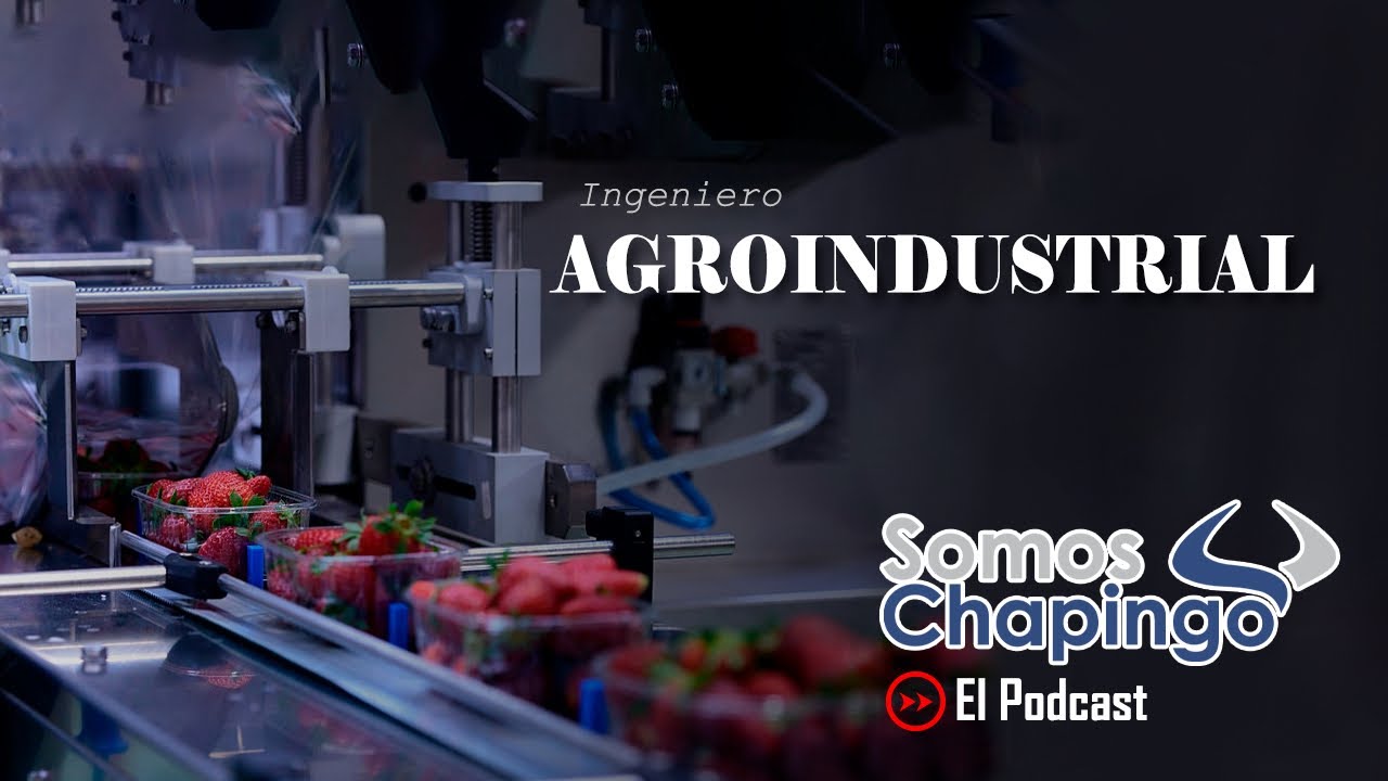 EPS.19 INGENIERIA AGROINDUSTRIAL- UNIVERSIDAD AUTÓNOMA CHAPINGO.