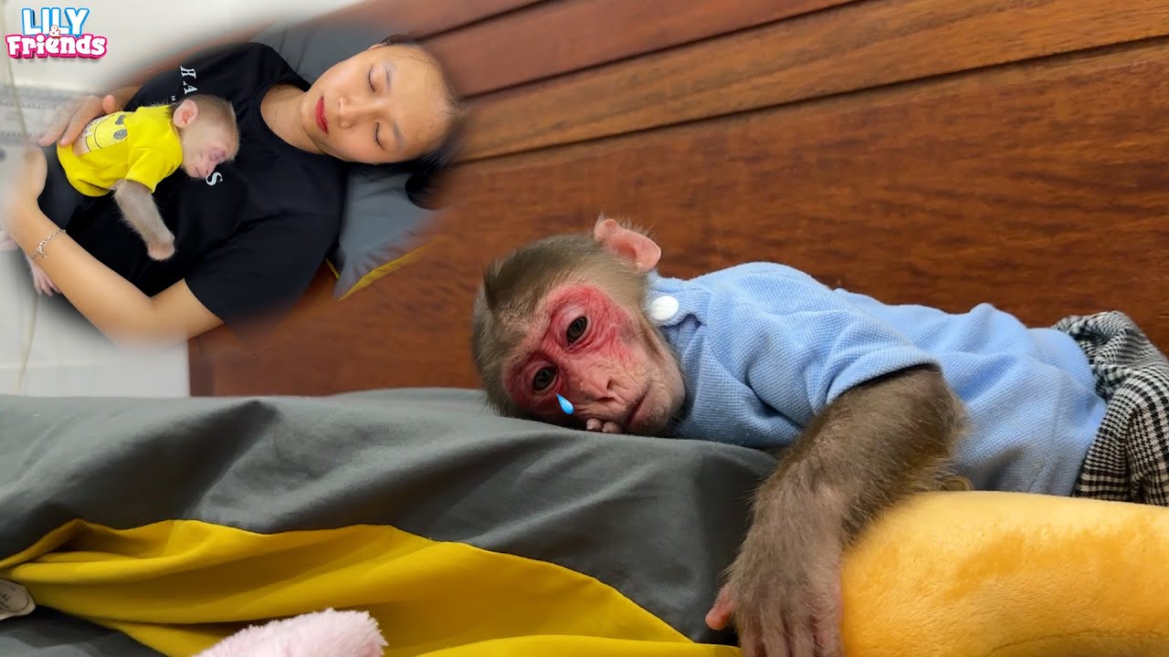 Как трогательно! Лили грустила и плакала, потому что не могла увидеть свою тётю | История Лили