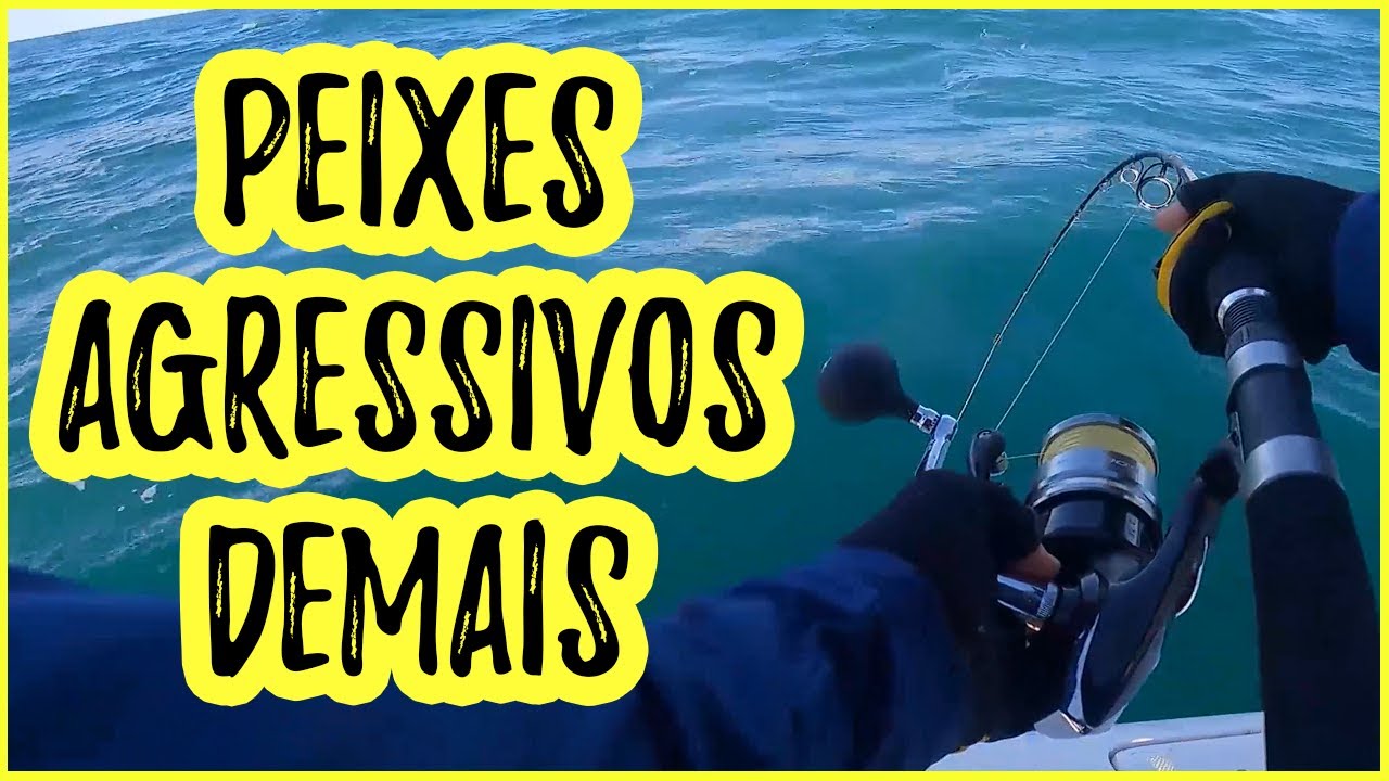 OS PEIXES AGRESSIVOS DO ALTO-MAR [Pescaria com Isca Artificial]