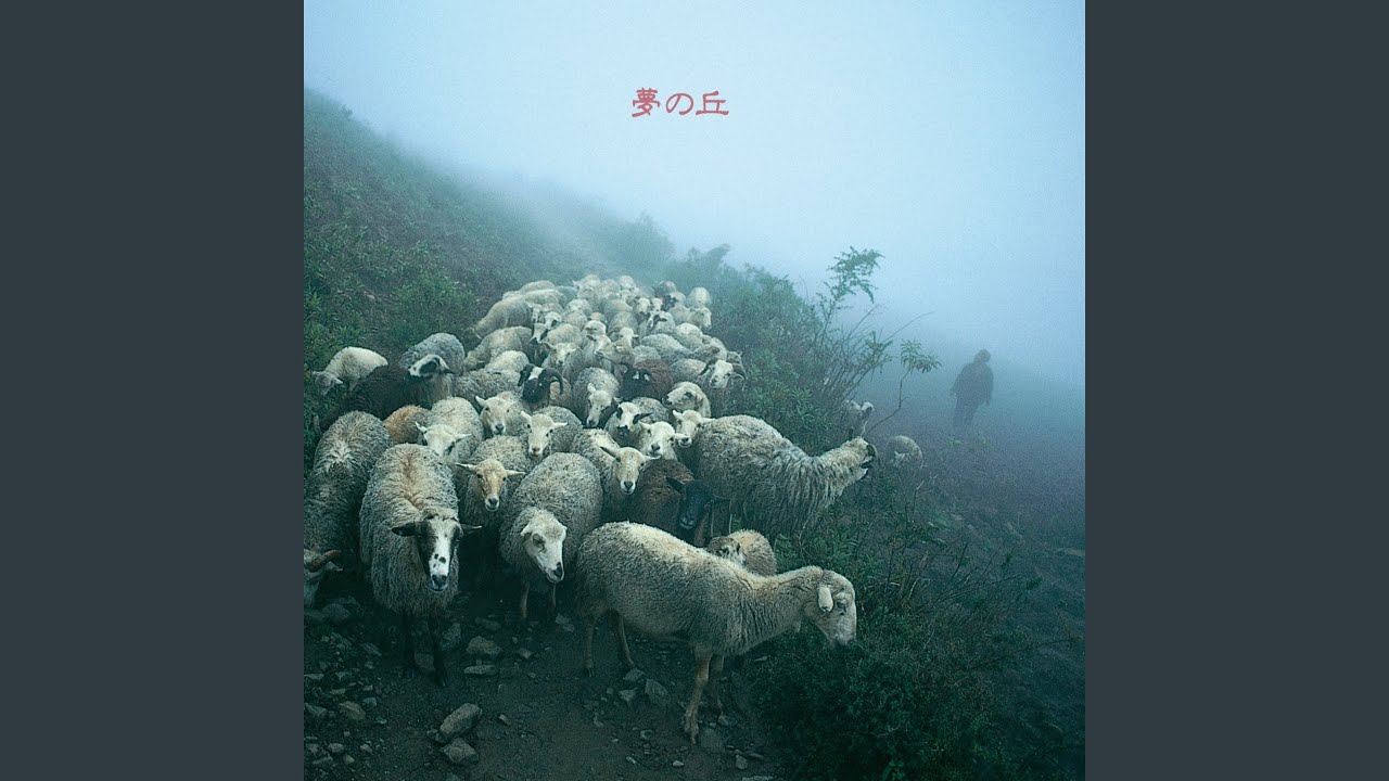 謎めいた森より