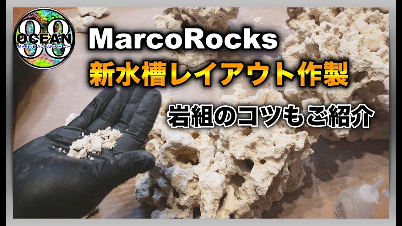 【海水魚水槽・サンゴ水槽】マルコロック　新水槽レイアウト作成　岩組のコツもご紹介