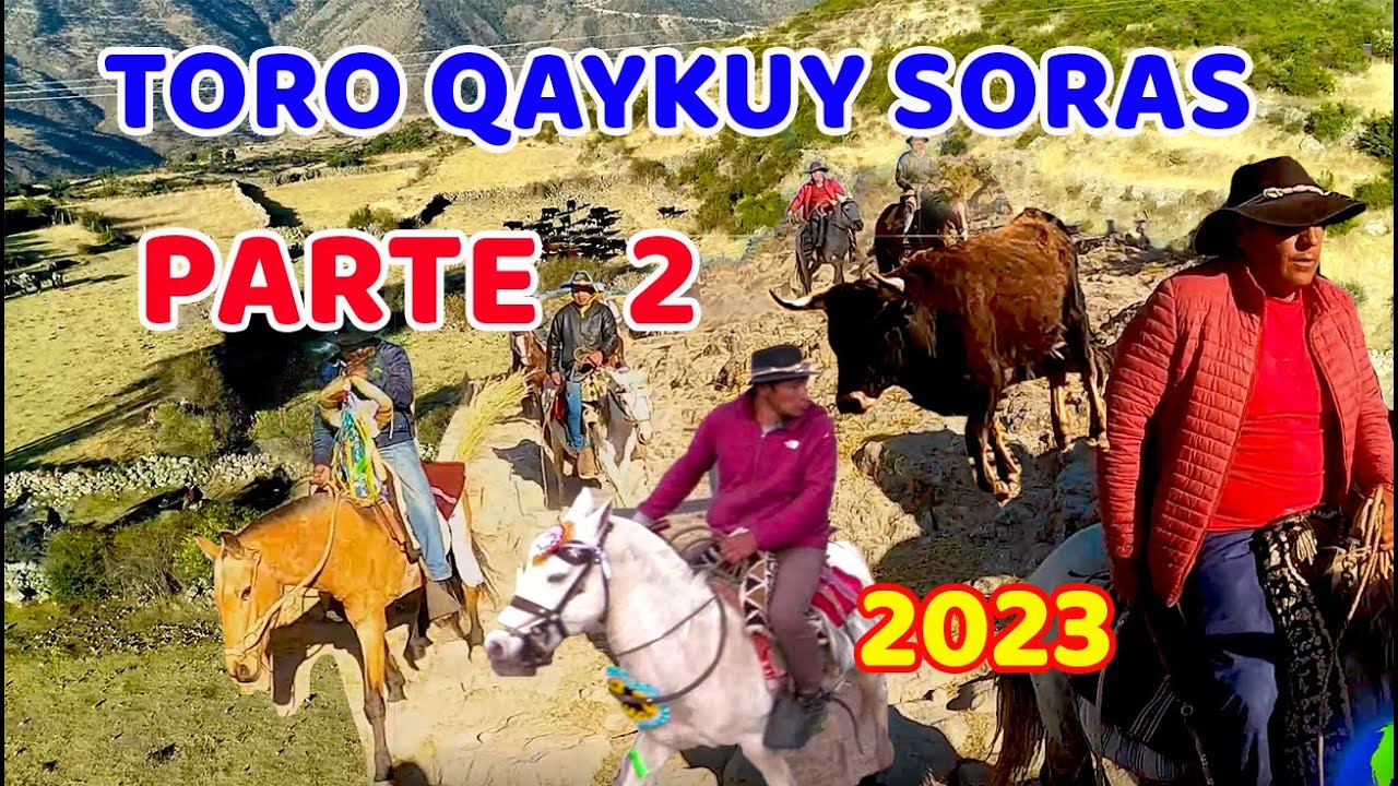 TORO QAYKUY SORAS / SEGUNDA PARTE 2023 / ARREO DE TOROS EN AYACUCHO