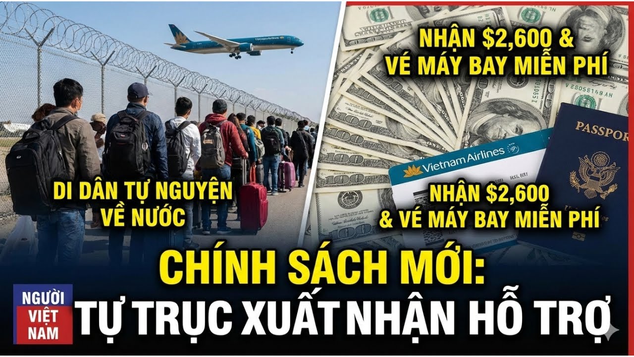 Con Ch&aacute;u B&aacute;c Hồ ở Bất Hợp Ph&aacute;p Ở Mỹ Kiếm 2,600 USD Ngay B&acirc;y Giờ