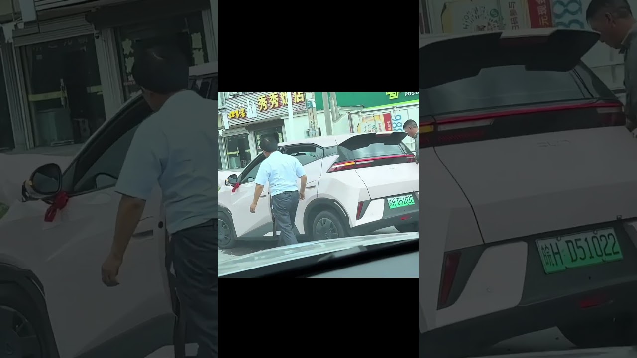 BYD crash: BYD Seagull vs Box truck