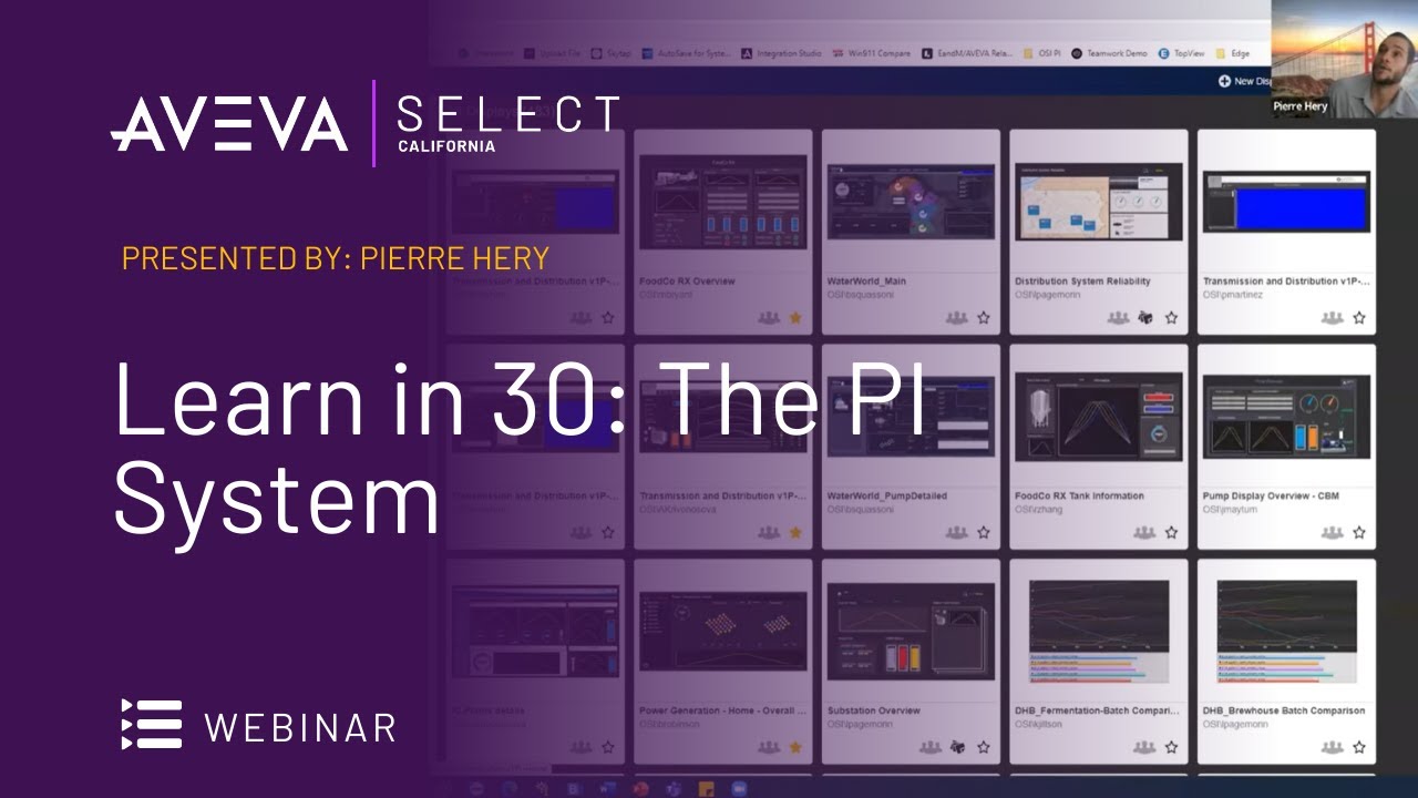Learn in 30: The PI System