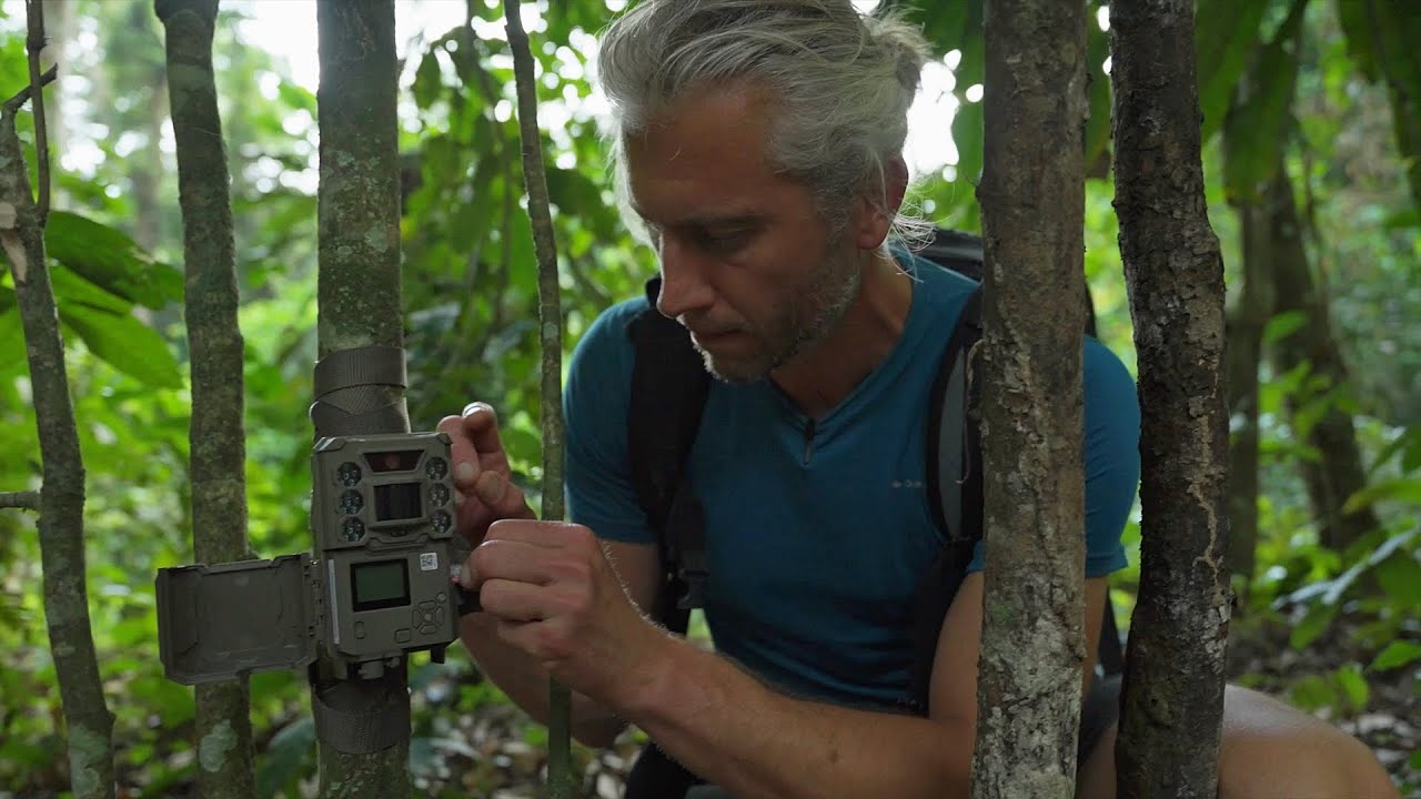 AI-enabled camera traps for protecting elephants (2)