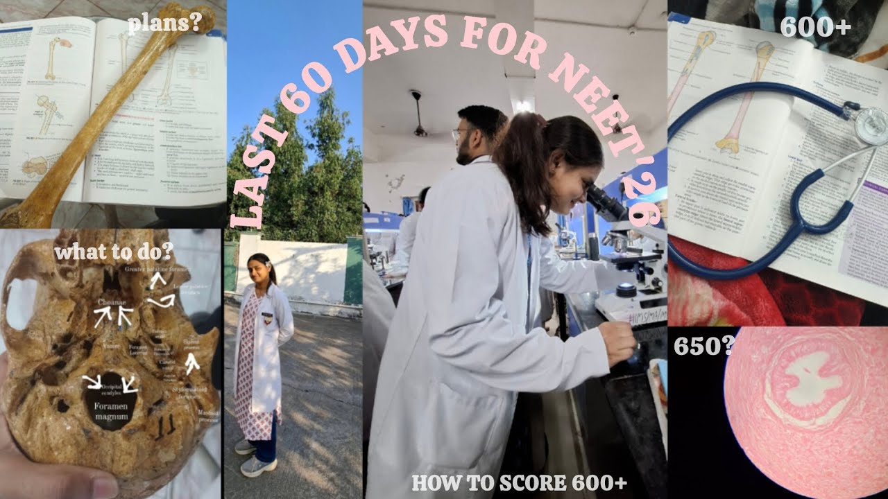 Must watch before going for NEET'26🩺strategy to score 600+ #neet26#mbbs #motivation#trending#viral 