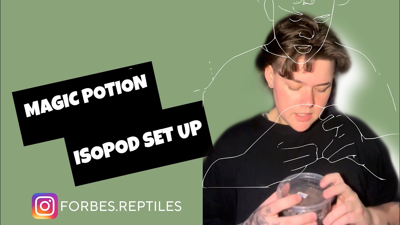 MAGIC POTION ISOPOD SET UP