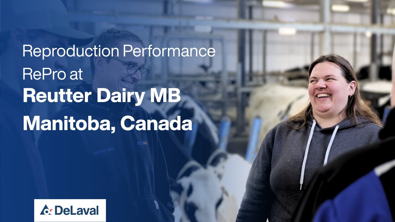 Reproduction Performance RePro Testimonial - Reutter Dairy MB -  DeLaval Plus
