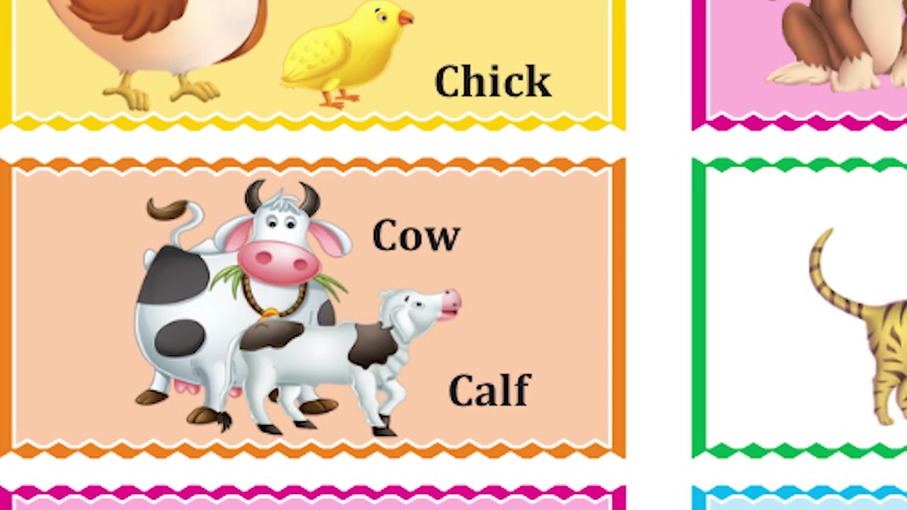MIND MOVER EVS BOOK FOR CLASS UKG