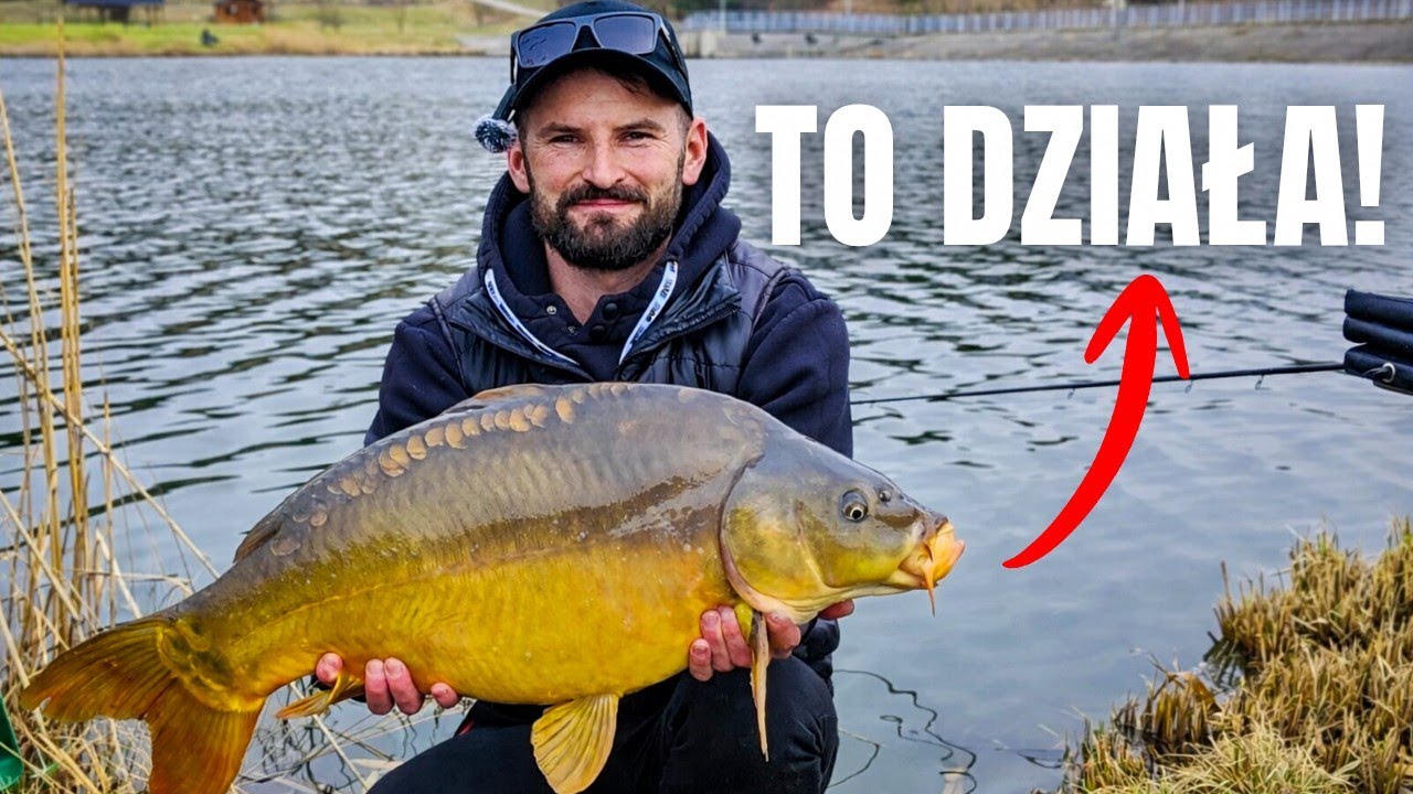 Groundbait or pellet?! Big spring fish on the PZW Method Feeder