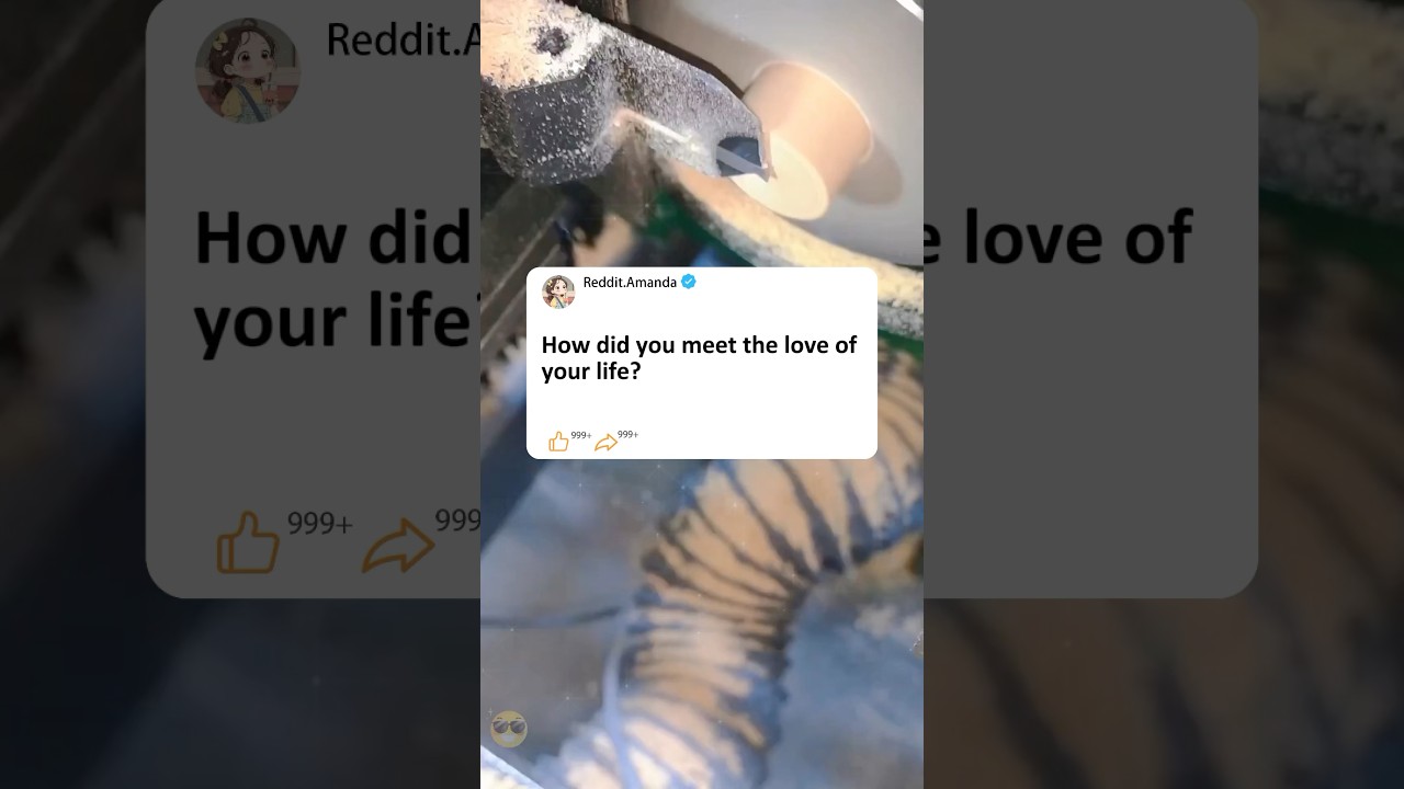 How did you meet the love of your life?#storytime #reddit #story