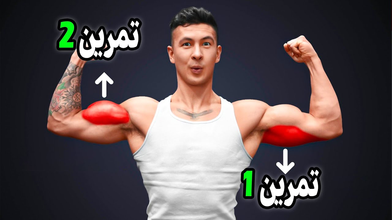 همین ۲ حرکت برای رشد بازو کافیه (طبق آخرین مطالعات)