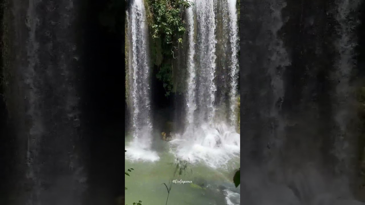 Immerse Yourself in Nature's Symphony at #WaterfallWonder 🌿💦
