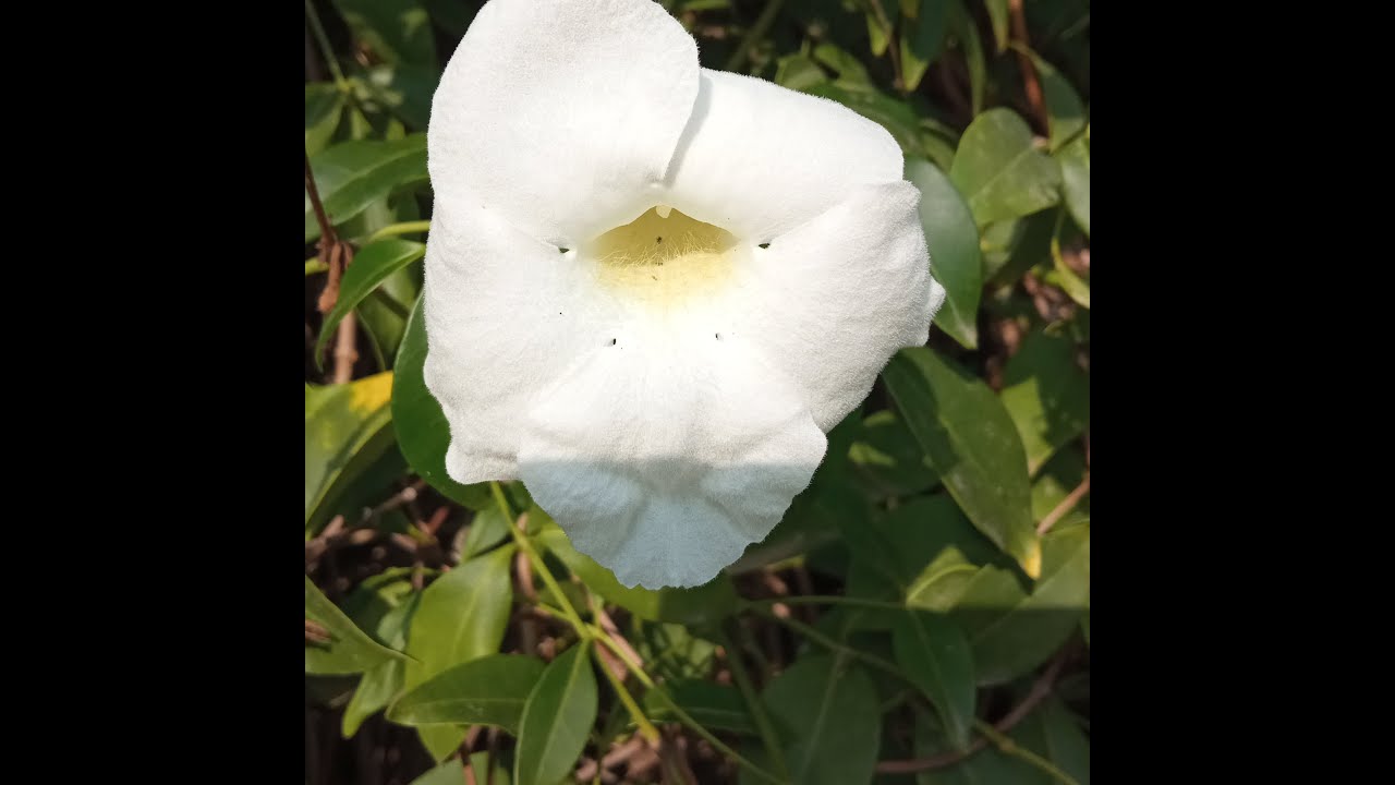 Beautiful nature in December 2020