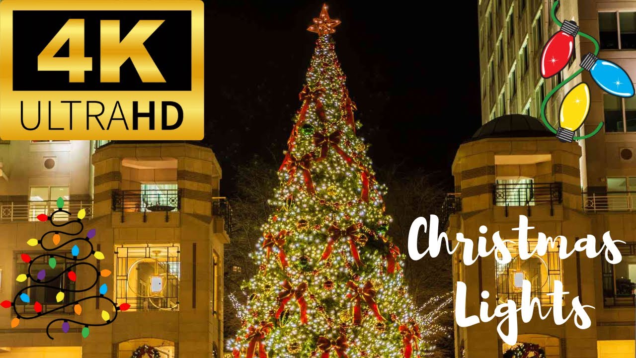 Christmas Lights, Reston Town Center at Night | Christmas tree I Virtual Tour [4K]
