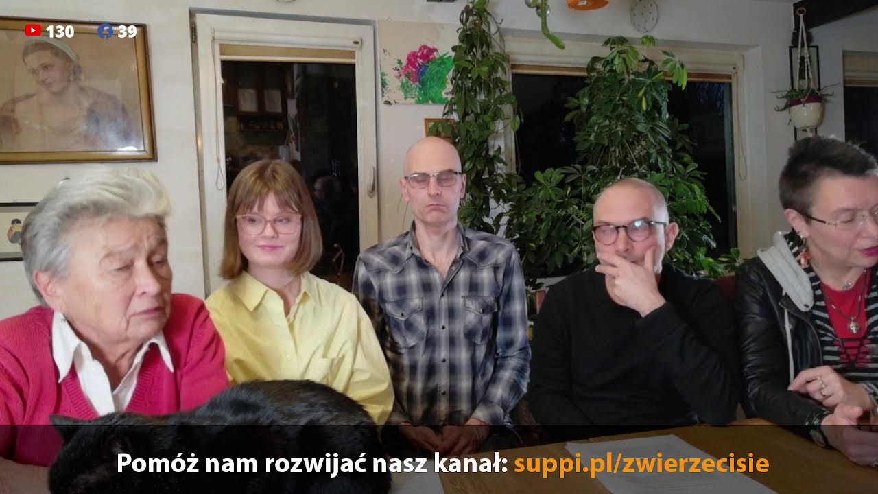 Pytania i odpowiedzi 7 marca 2026