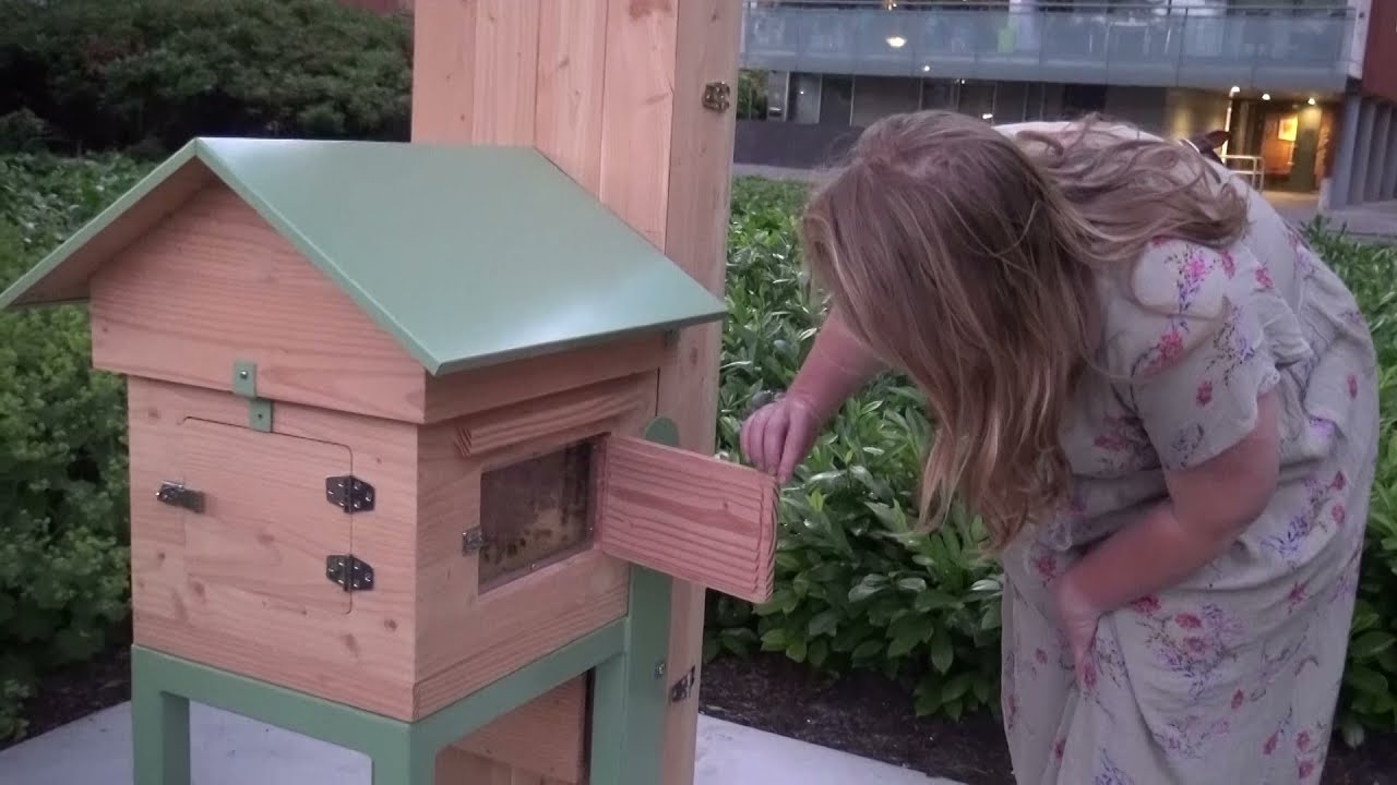 BEE-PASS demonstratie bijenkast in gebruikname. Primeur voor Nederland!