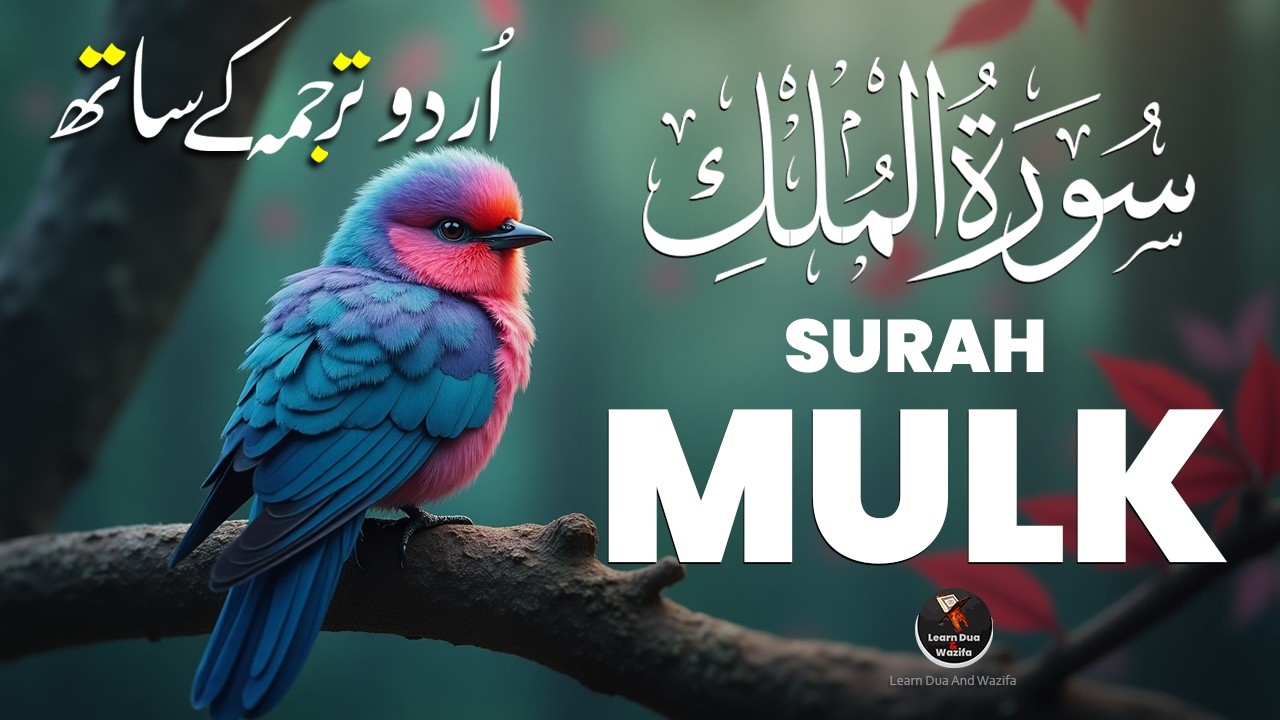 Surah Al-Mulk سورة الملك | Majestic Quran Recitation for Night Reflection and Serenity #surahmulk