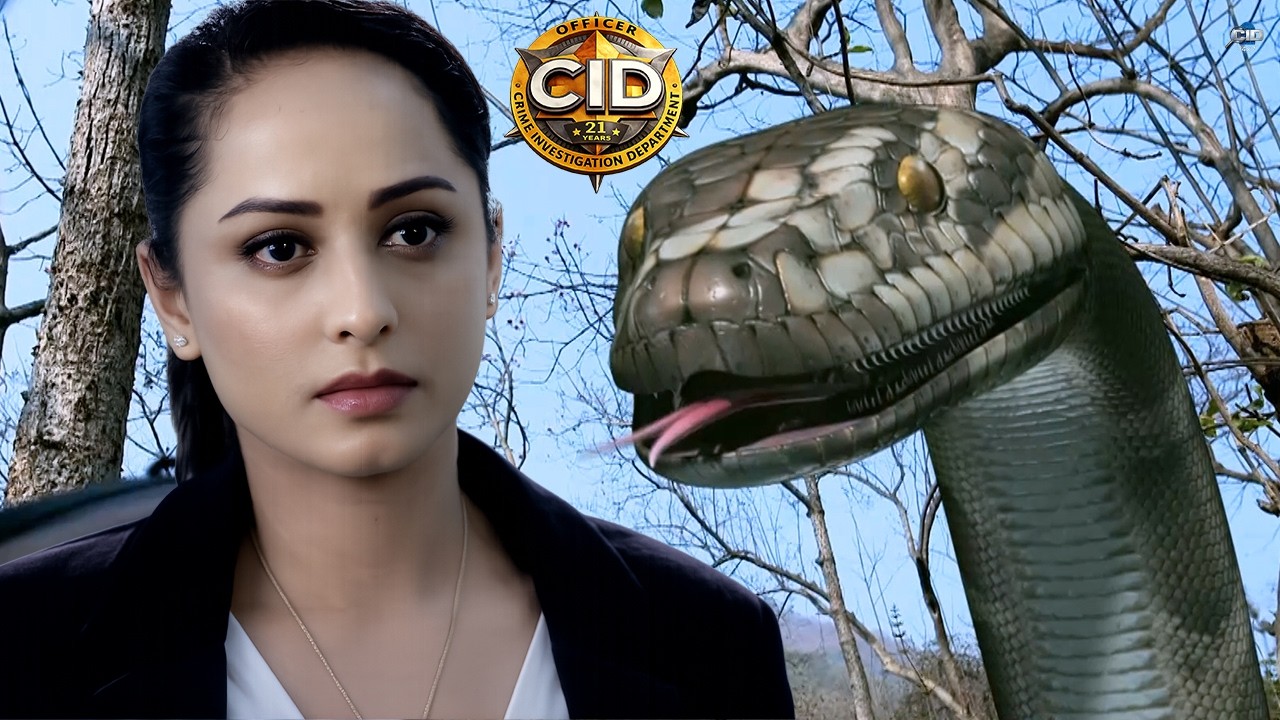 अजगर का आतंक CID टीम की सांसें थमीं | CID | Part - 04 | सी.आई.डी. | Latest New Episode 2026