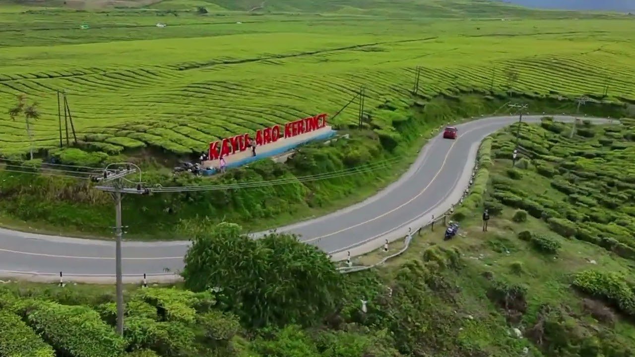 Kebun Teh Kayu Aro Kota Sakti Kerinci