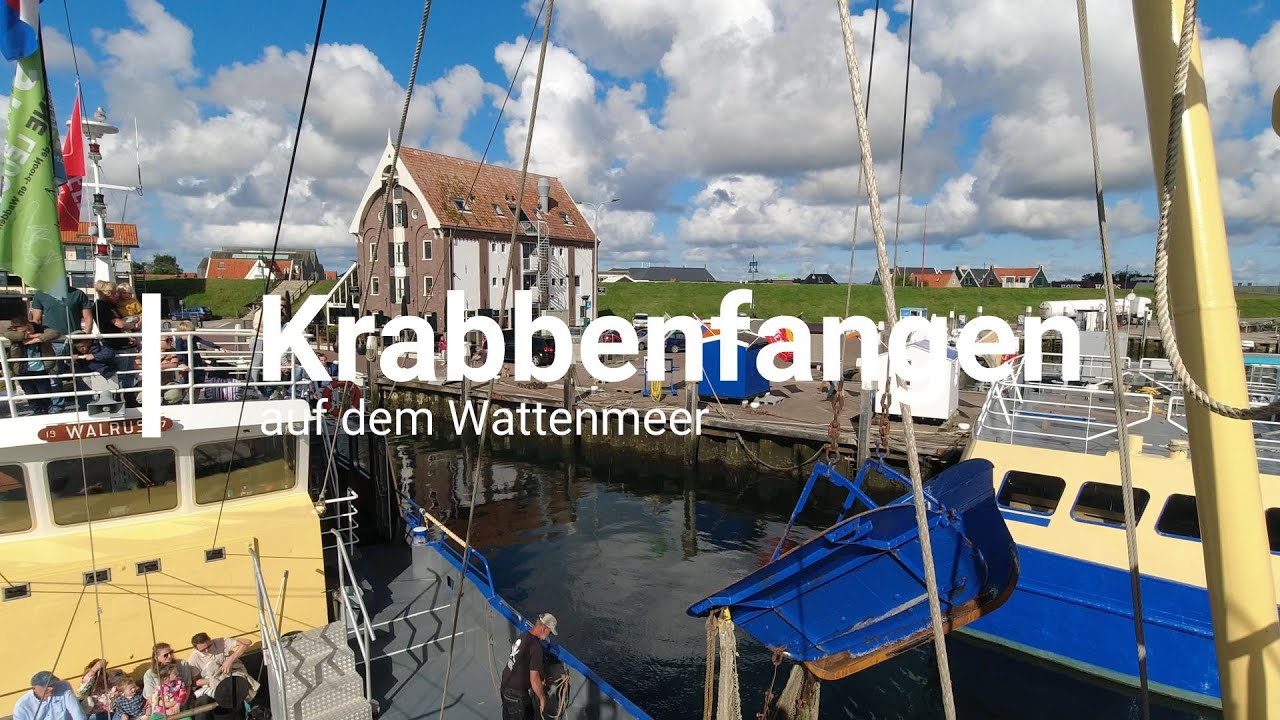 Oudeschild auf Texel: Eine unvergessliche Grappenkuttertour