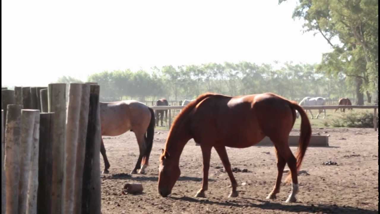 Rancho Taxco 1