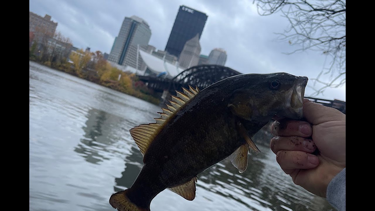 November fishing 